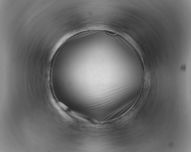 X0000113611005200910021800