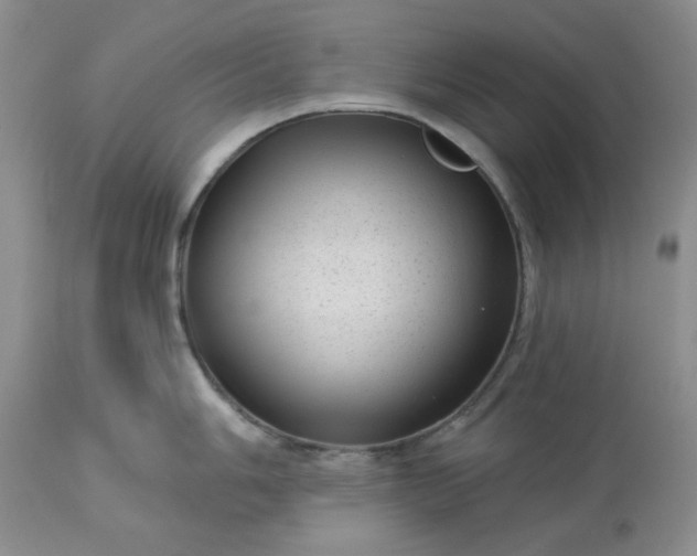 X0000113611006200910021800