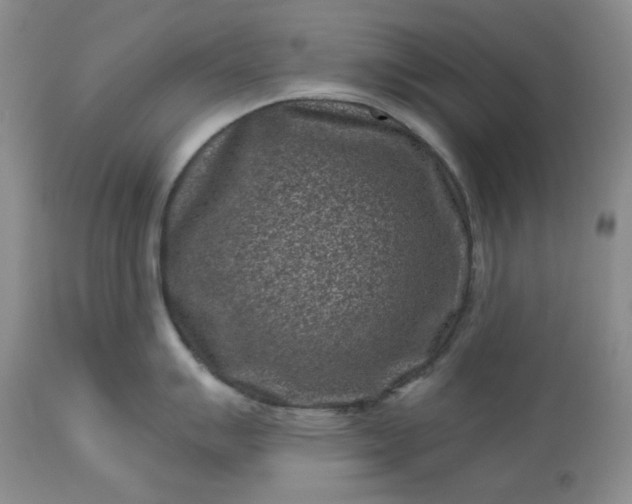 X0000113611007200910021800