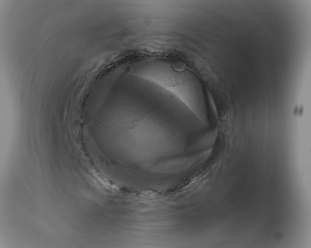 X0000113611009200910021759