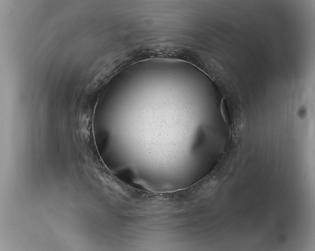 X0000113611010200910021759