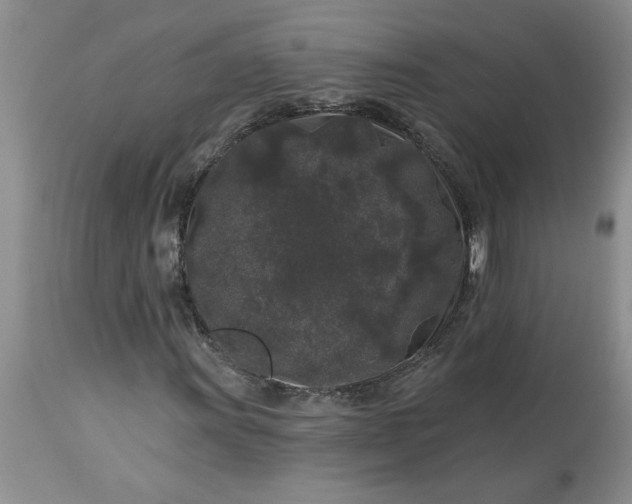 X0000113611011200910021759