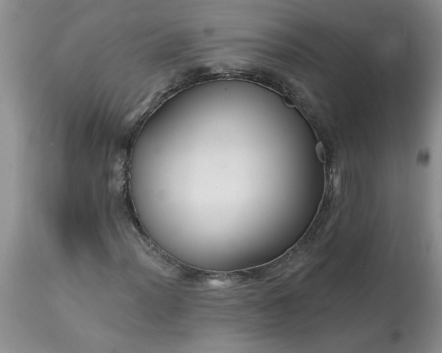 X0000113611012200910021759