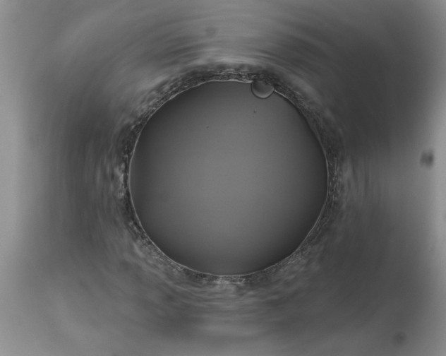 X0000113611013200910021759