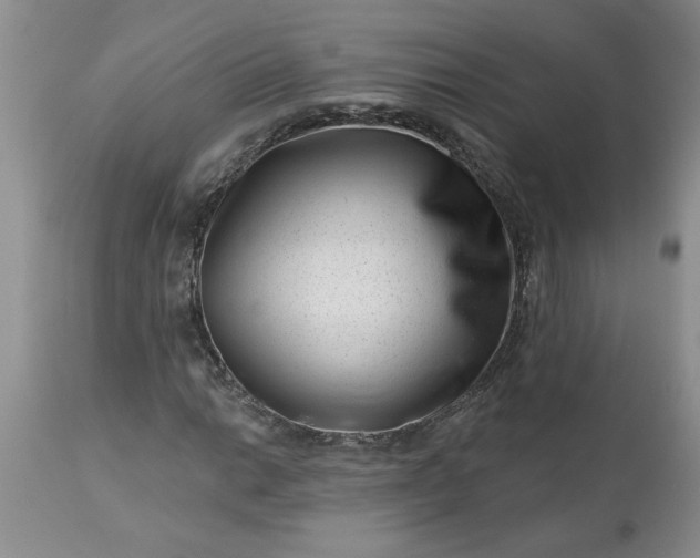 X0000113611014200910021759