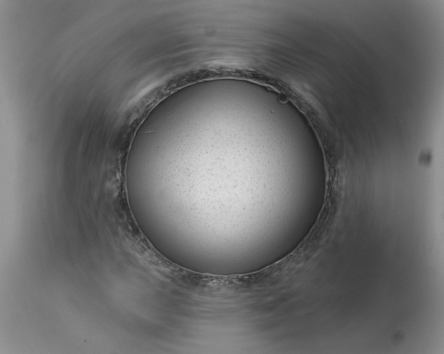 X0000113611015200910021759