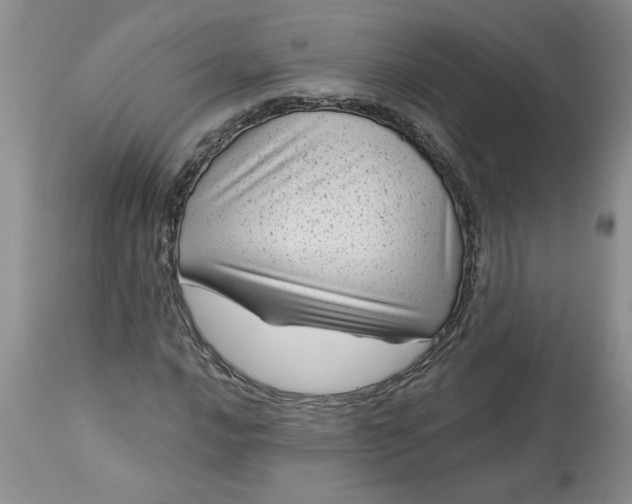 X0000113611016200910021759