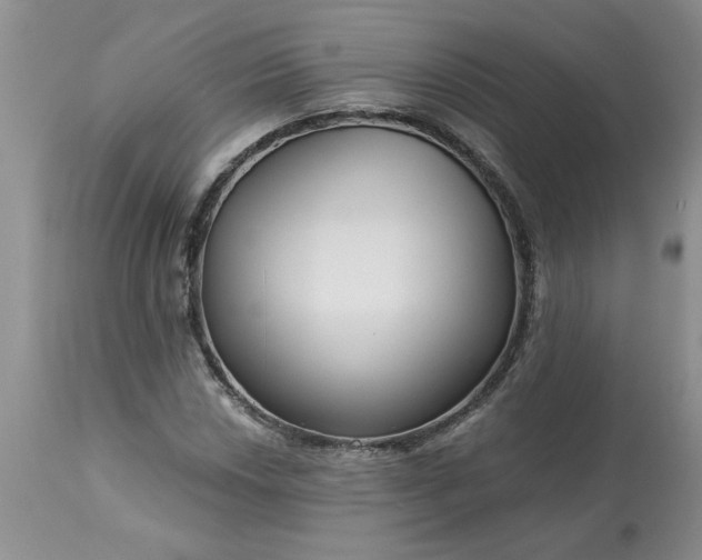 X0000113611018200910021759