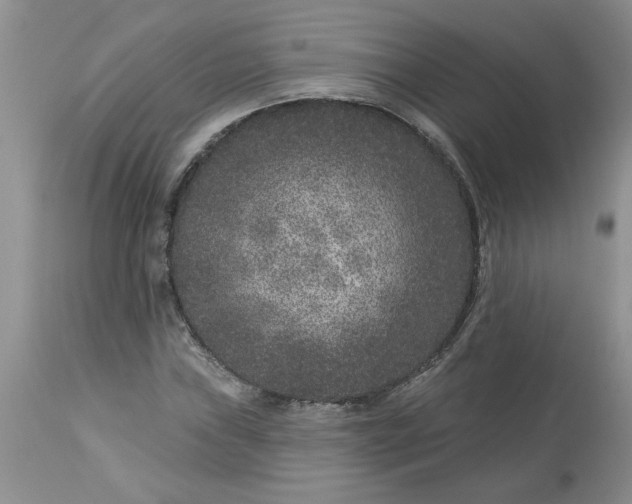 X0000113611019200910021759