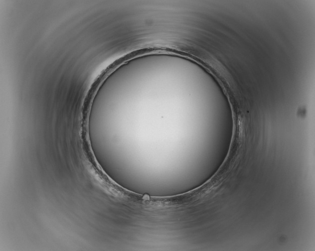 X0000113611020200910021759