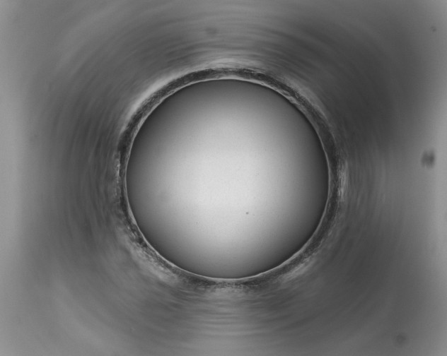 X0000113611021200910021759