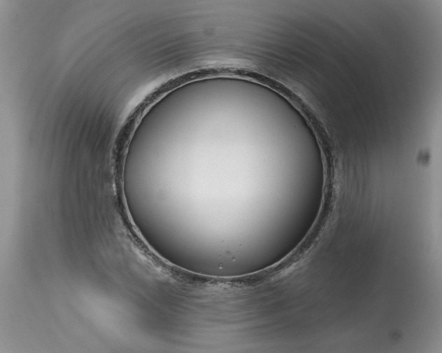 X0000113611022200910021759