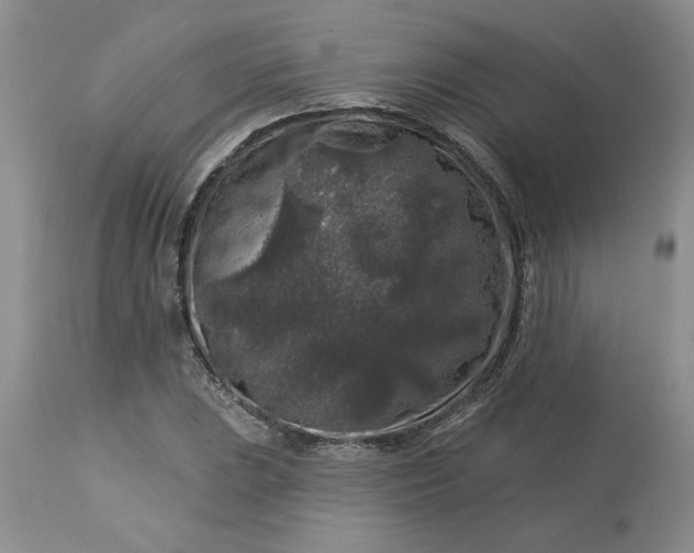 X0000113611023200910021759