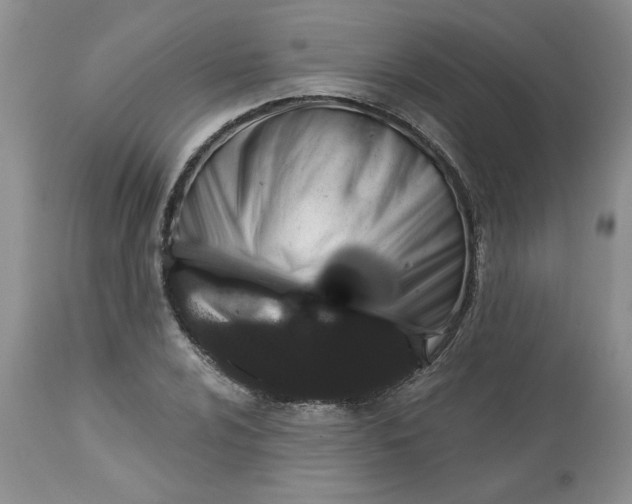 X0000113611024200910021759