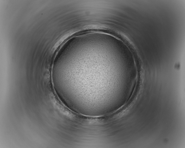 X0000113611025200910021759