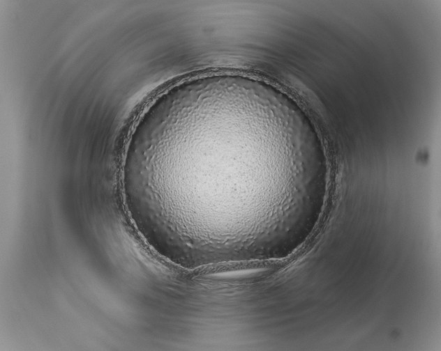 X0000113611027200910021759