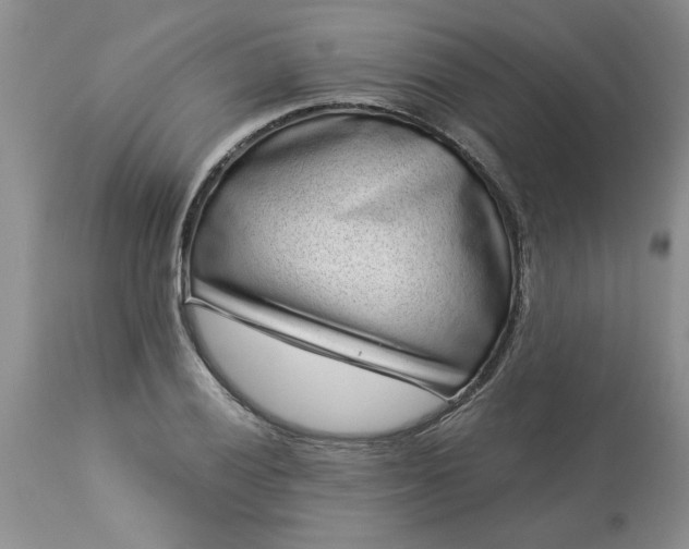 X0000113611028200910021759