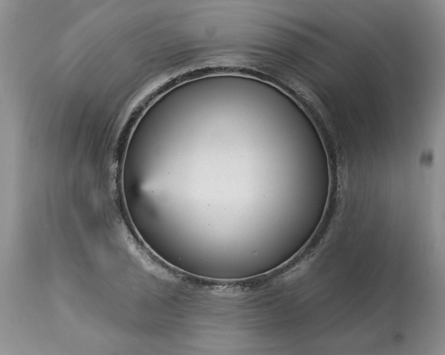 X0000113611029200910021759