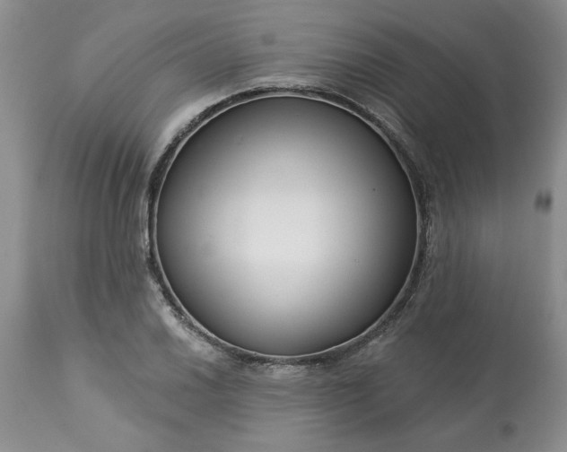 X0000113611030200910021759