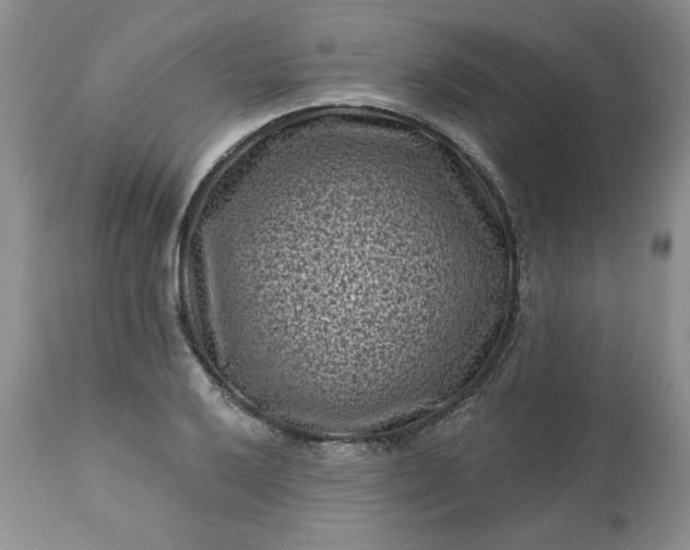 X0000113611032200910021759