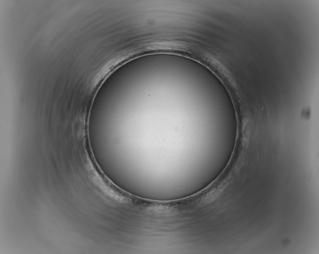 X0000113611033200910021759