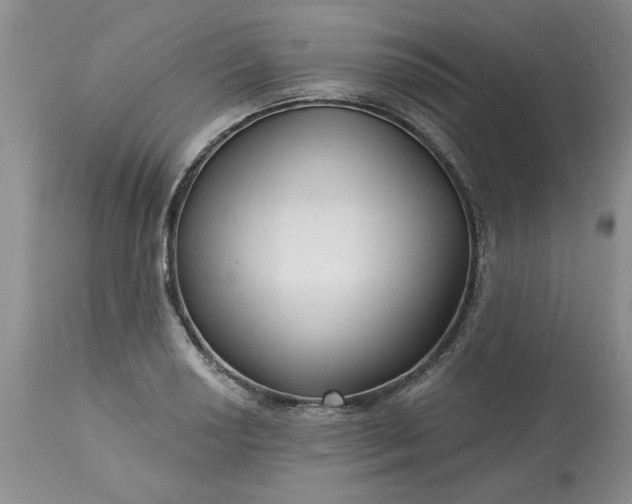 X0000113611034200910021759