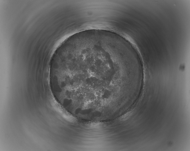 X0000113611035200910021759