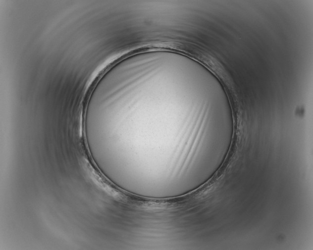 X0000113611036200910021759