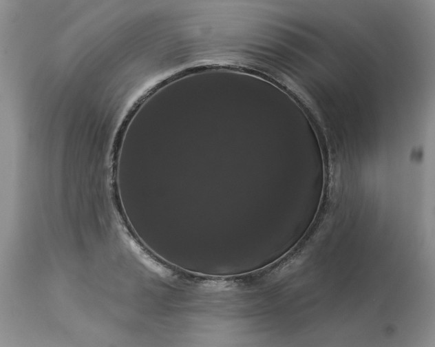 X0000113611037200910021759