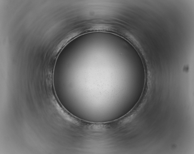 X0000113611041200910021759