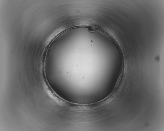 X0000113611042200910021759