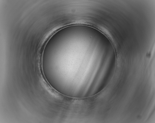 X0000113611043200910021759