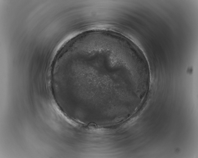 X0000113611045200910021759