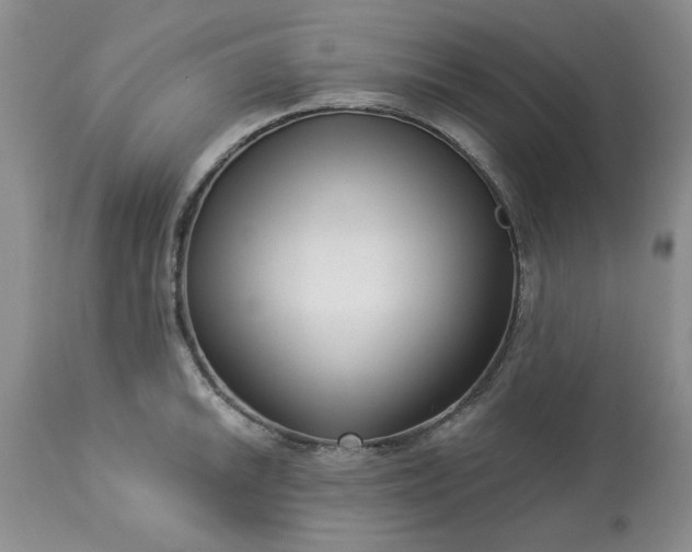 X0000113611046200910021759