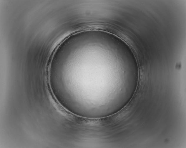 X0000113611047200910021800