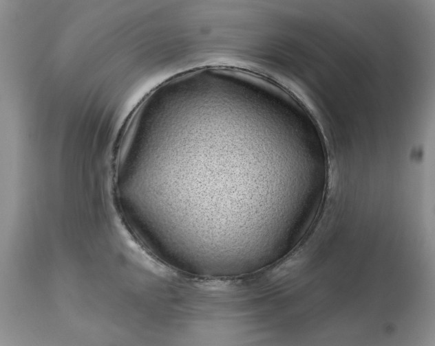 X0000113611048200910021800