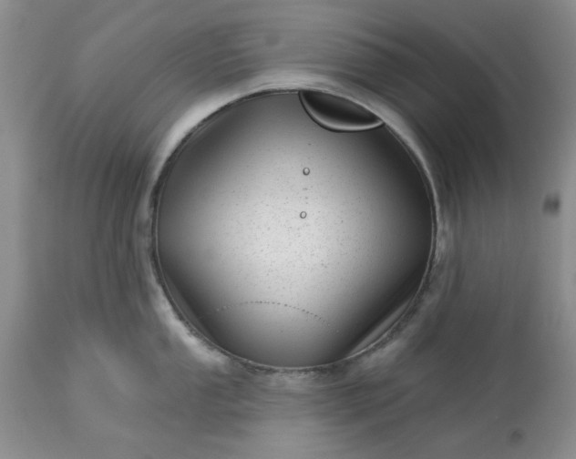 X0000113611053200910021800