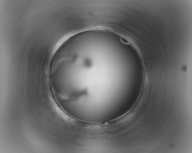 X0000113611054200910021800