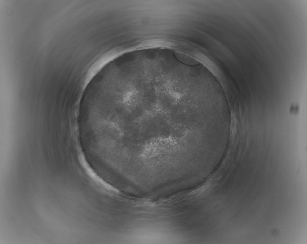 X0000113611055200910021800