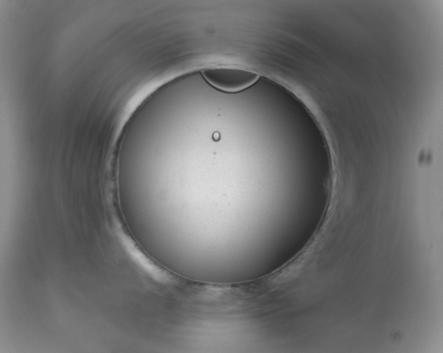 X0000113611056200910021800