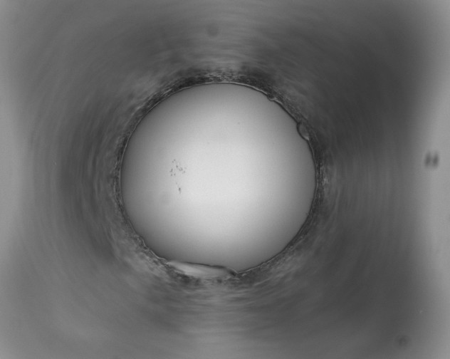 X0000113611057200910021759