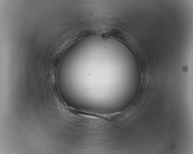 X0000113611058200910021759