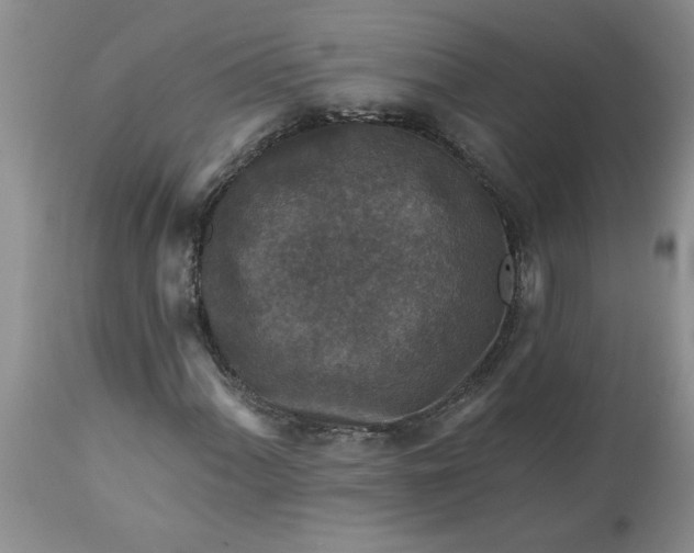 X0000113611060200910021759