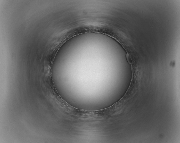 X0000113611061200910021759