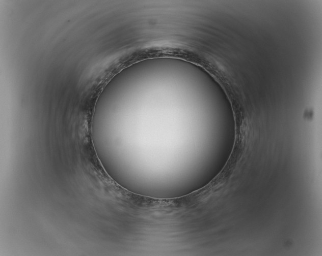 X0000113611062200910021759