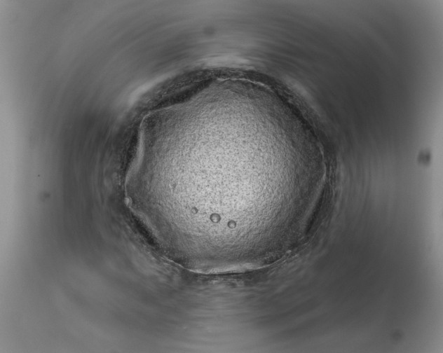 X0000113611063200910021759