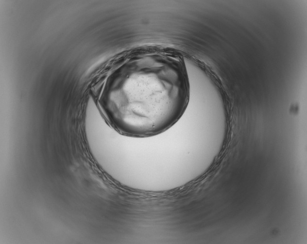 X0000113611064200910021759