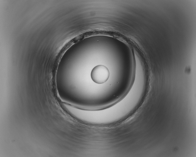 X0000113611065200910021759