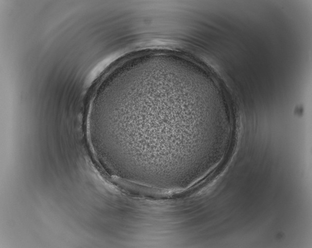 X0000113611066200910021759