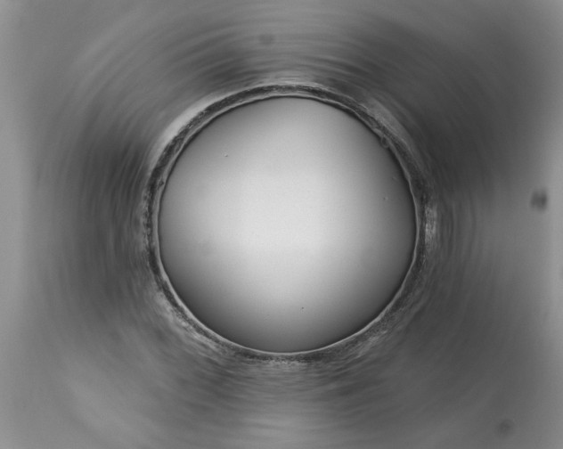 X0000113611068200910021759